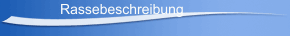 Rassebeschreibung